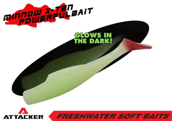 MINNOW X-TEN POWERFUL BAIT FR-085