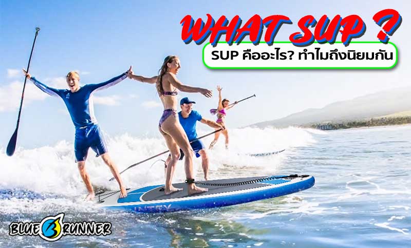 WHAT SUP ?  SUP คืออะไร? ทำไมถึงนิยมกัน