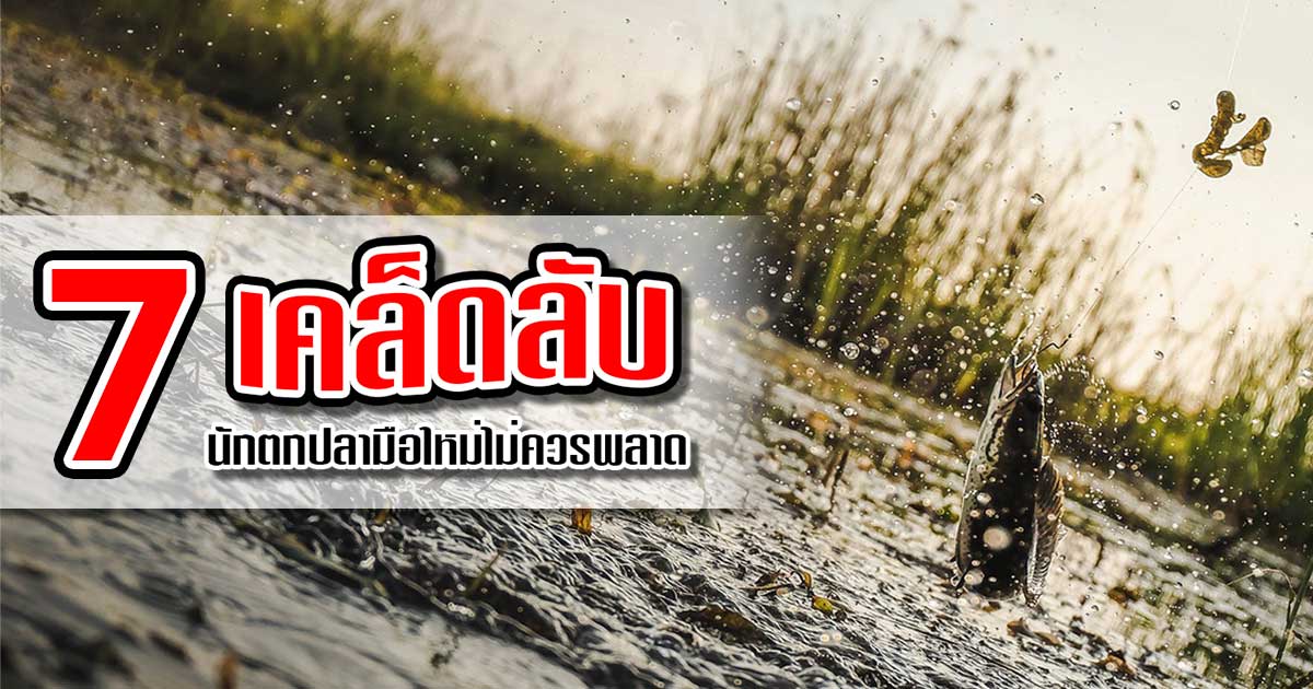 7 เคล็ดลับที่นักตกปลามือใหม่ไม่ควรพลาด