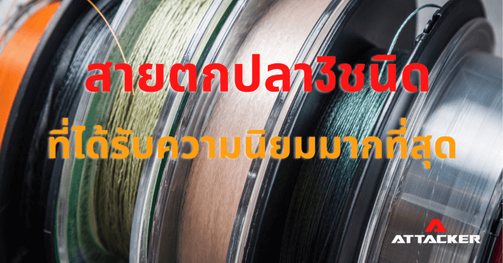 สายตกปลา 3 ชนิด ที่นิยมใช้ในการตกปลา