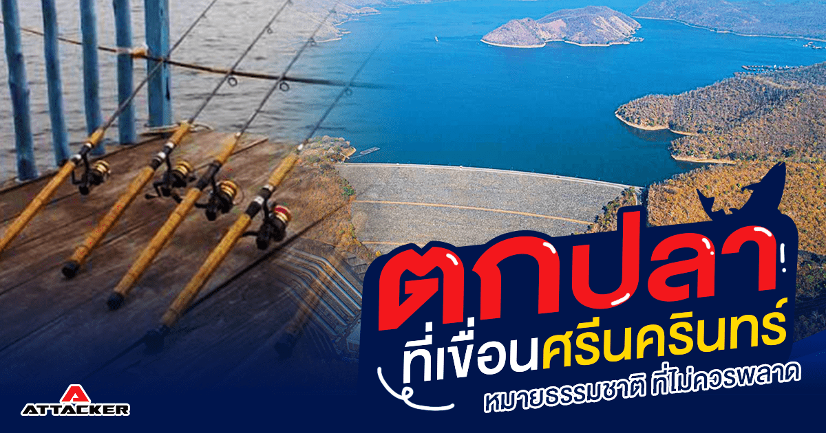 เขื่อนตกปลาศรีนครินทร์หมายธรรมชาติที่คุณไม่ควรพลาด