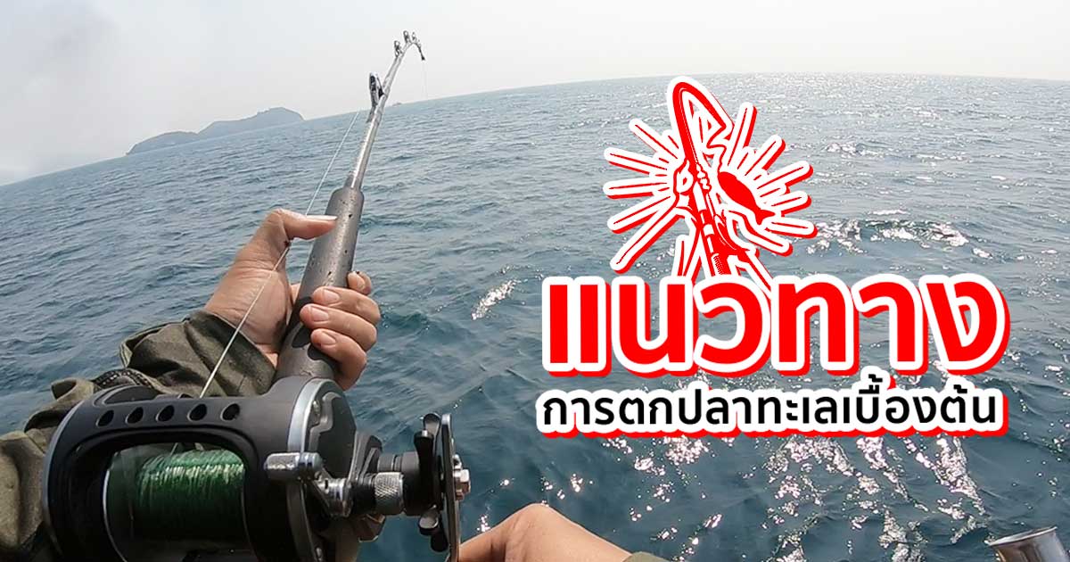 แนวทางการตกปลาทะเลเบื้องต้น
