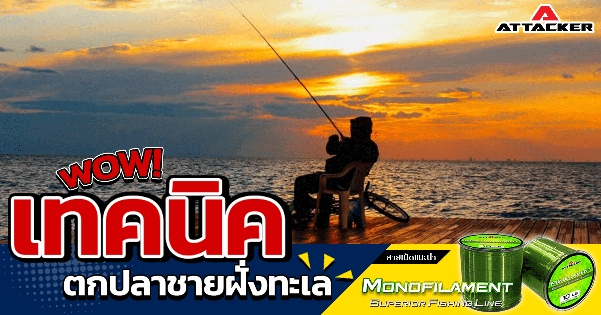 เทคนิคการตกปลาชายฝั่งทะเล