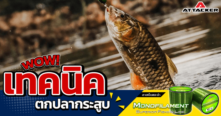 เทคนิคและแนวทางการตกปลากระสูบ