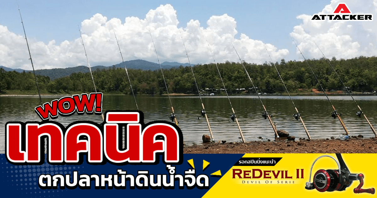เทคนิคการตกปลาหน้าดินน้ำจืด