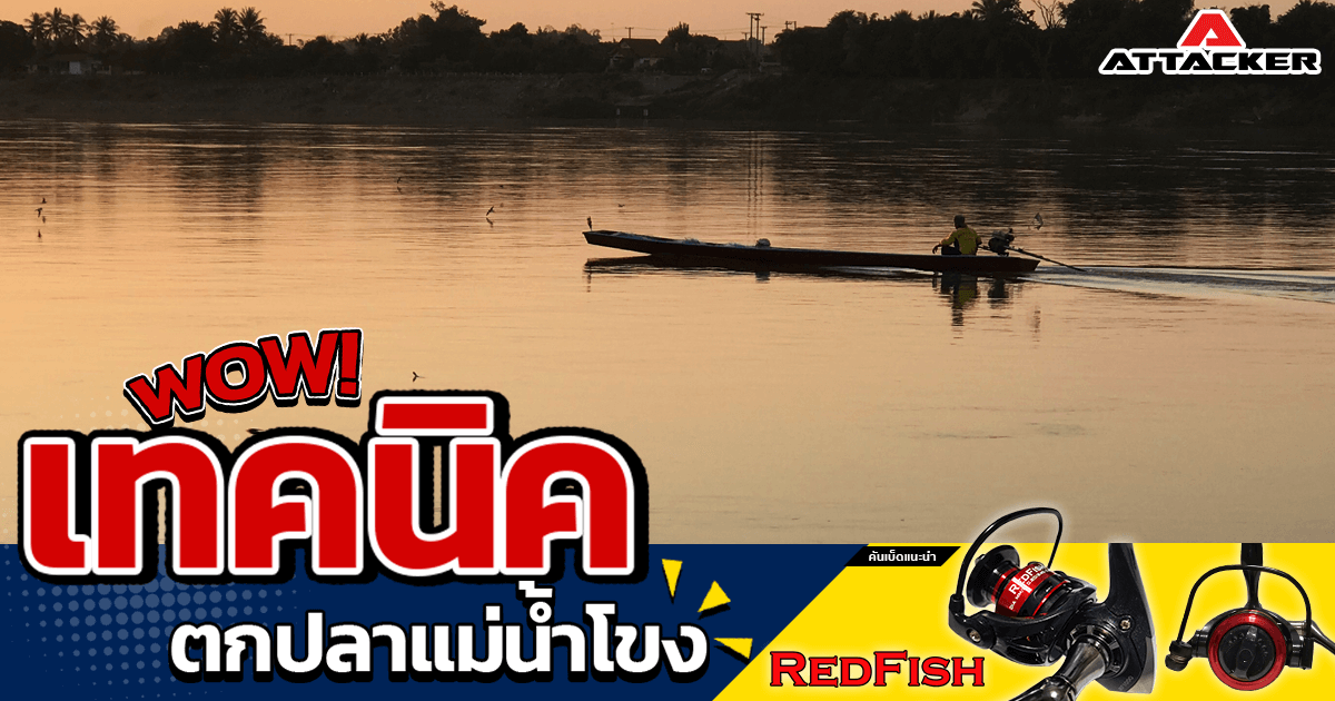เทคนิคการตกปลาที่แม่น้ำโขง
