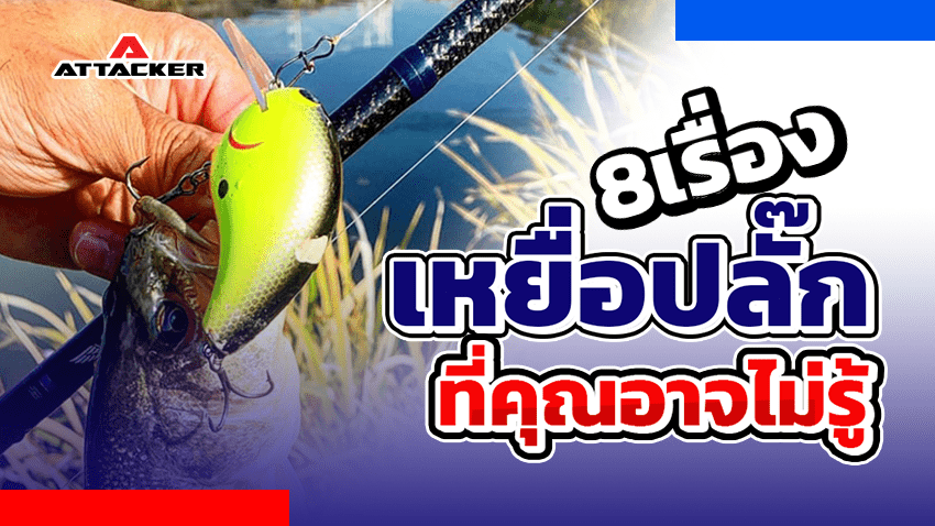 เหยื่อปลั๊ก