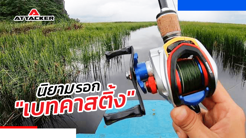 นิยามของ”รอกเบท”