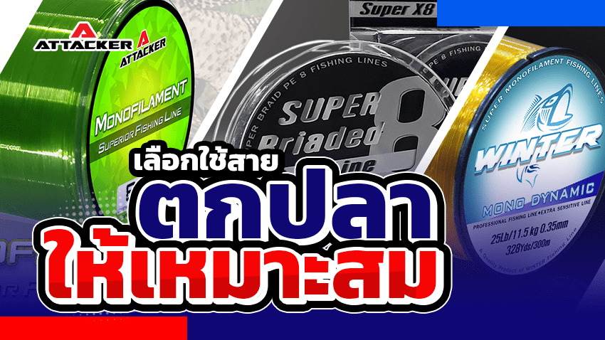 วิธีเลือกใช้สายตกปลาให้เหมาะกับคุณที่สุด