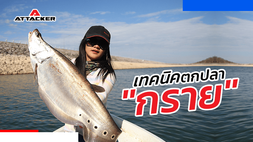 เทคนิคการตกปลากราย