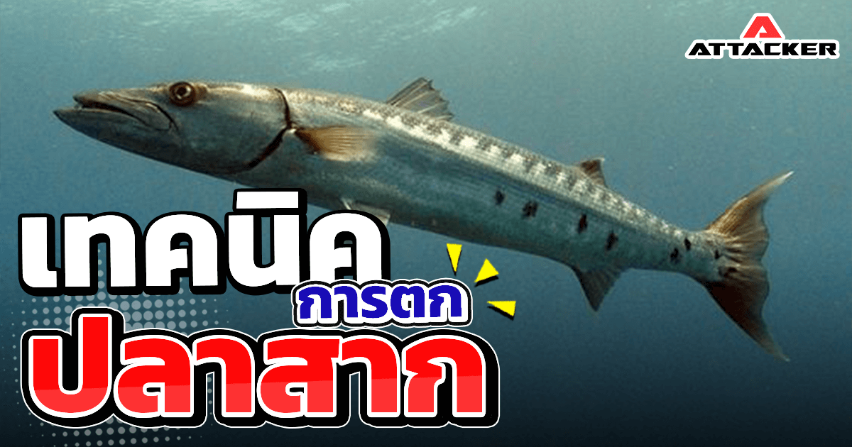 เทคนิคการตกปลาสากชายฝั่ง