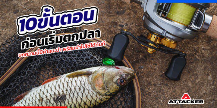 10 ขั้นตอนในการเริ่มตกปลา