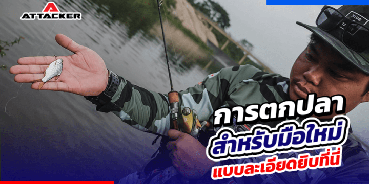 Beginner Fisher