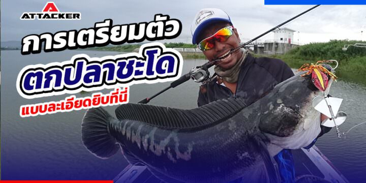 การเตรียมตัวก่อนตกปลาชะโด