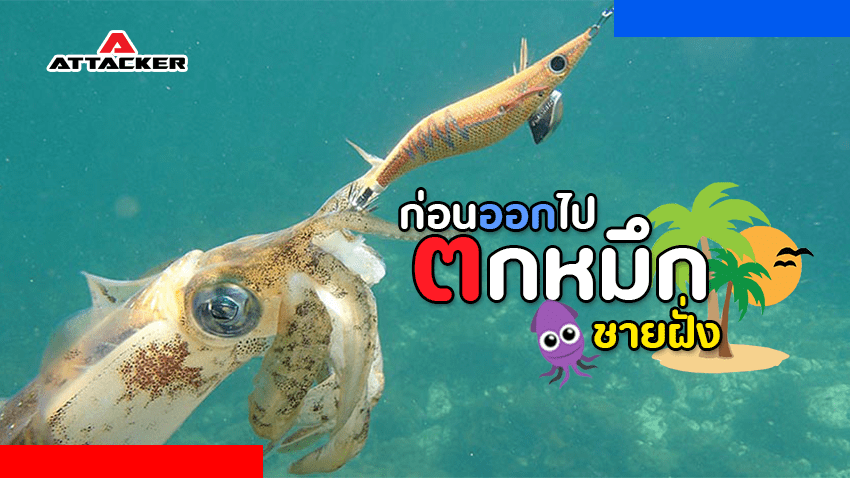 ก่อนออกไปหมึกชายฝั่งต้องเตรียม อุปกรณ์ตกปลา ชนิดใดบ้าง