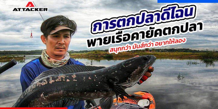 การตกปลานั้นดีไฉน