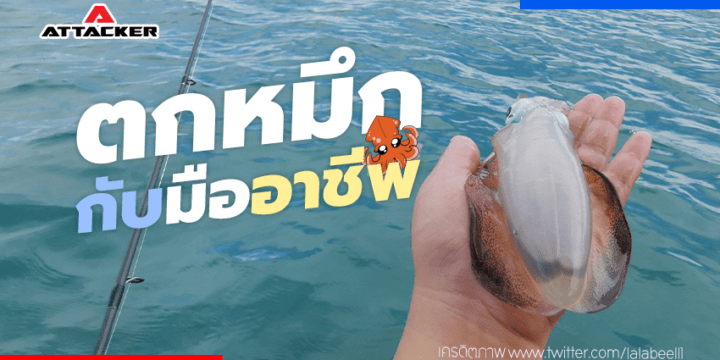 ตกหมึกกับมือโปร