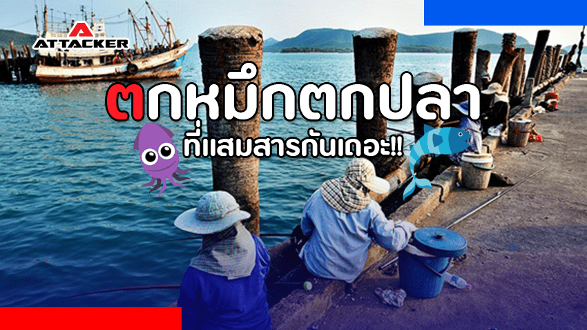 ไป ตกหมึก ตกปลา กันที่แสมสารกันเถอะ