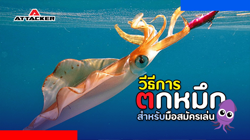 วิธีการตกหมึกสำหรับมือสมัครเล่น