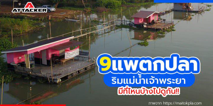 9 อันดับแพตกปลาริมแม่น้ำเจ้าพระยาที่อำเภอบางไทร อยุธยา