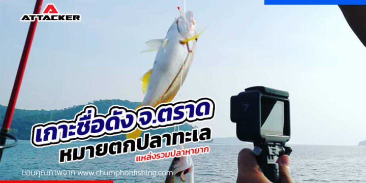 เกาะชื่อดังจังหวัดตราด หมายตกปลาทะเลชั้นเยี่ยม แหล่งรวมปลาหายาก